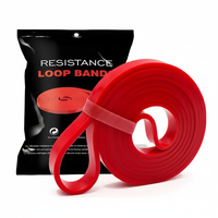 Ultimate Versatile Resistance Band Set | Pull-Up Assistance & Home Fitness